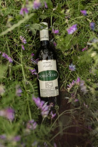 Schuckert_05.06.25-12