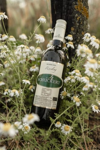 Schuckert_05.06.25-13